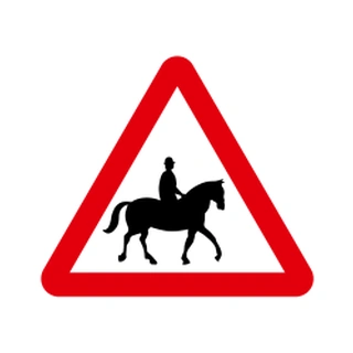 Accompanied horses or ponies