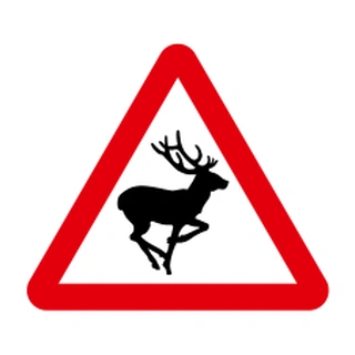 Wild animals
